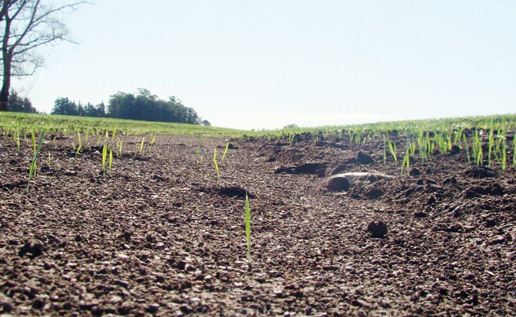 El INTA y la AACS convocan a la 15° Jornada Nacional de Conservación del Suelo